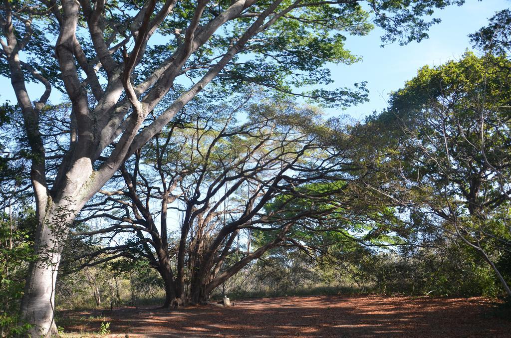 Pousada Terras Do Poente Vale do Capao Buitenkant foto